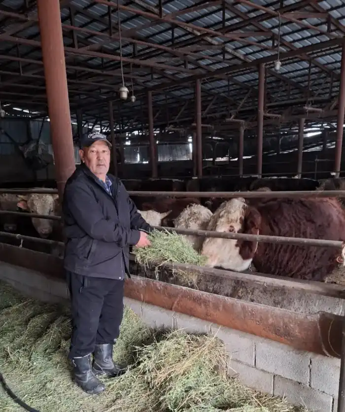 От бычков до рынков: фермерская история успеха Астане