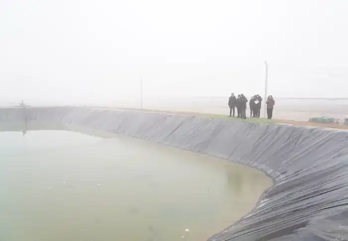 Лесной питомник на 10 гектаров в Туркестанской области Астане