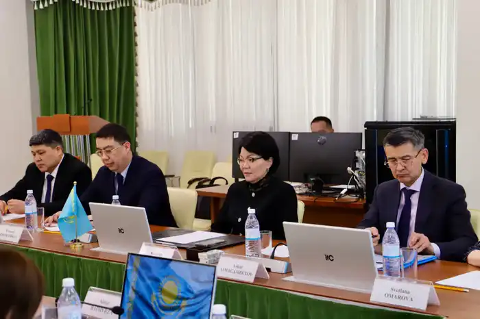 Жакупова презентовала модель оценки нуждаемости в РК Астане