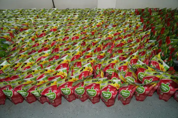 Завод по глубокой переработке фруктов и ягод запустили в Туркестанской области (2)