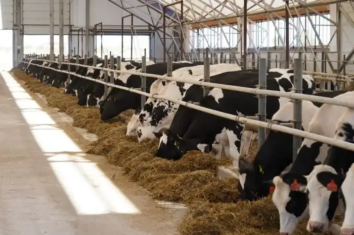 В Алматинской области построят завод по производству кормов для домашних животных с объемом инвестиций свыше 88 млрд тенге Астане