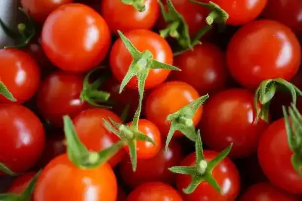 Зараженные семена томатов: вирус в аэропорту Астаны! Астане