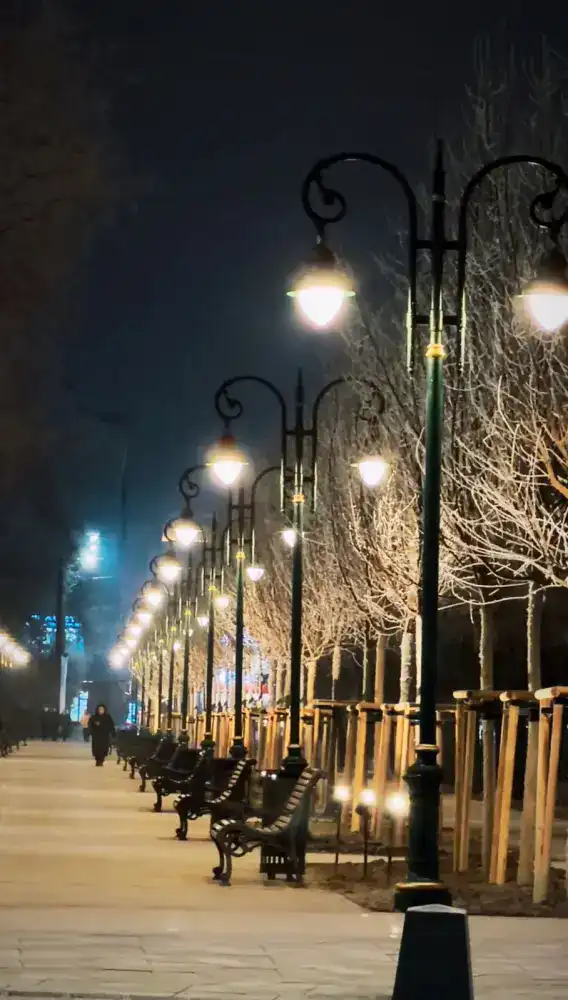 Создание пешеходного бульвара на улице Пушкина в Алматы: улучшение городской инфраструктуры и экологии Астане