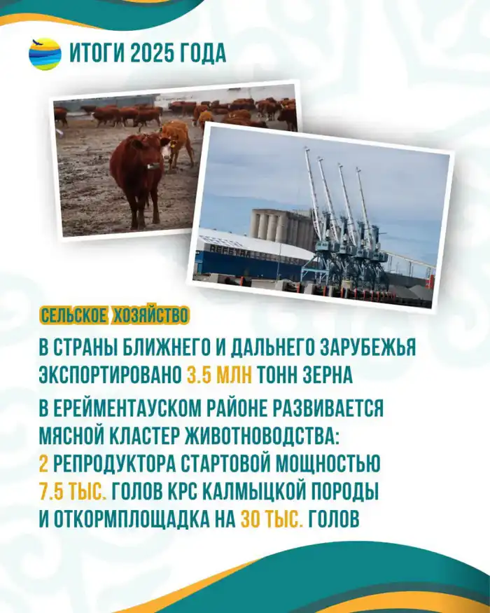 Акмолинская область: Лидер аграрного производства с рекордами на мировом рынке в 2025 году Астане