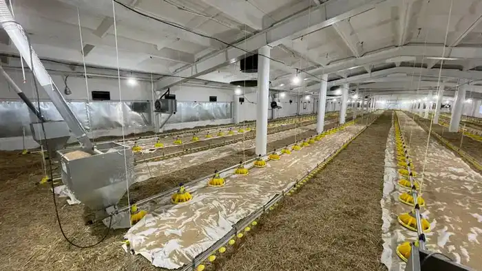 В Карагандинской области появился новый птичник с искусственным интеллектом (9)