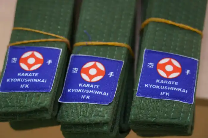 В столичной школе прошла церемония вручения поясов юным каратистам, подчеркивающая важность здорового образа жизни Астане