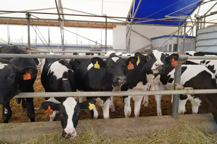 Рост инвестиций в Акмолинской области: новые возможности и вызовы для региона Астане