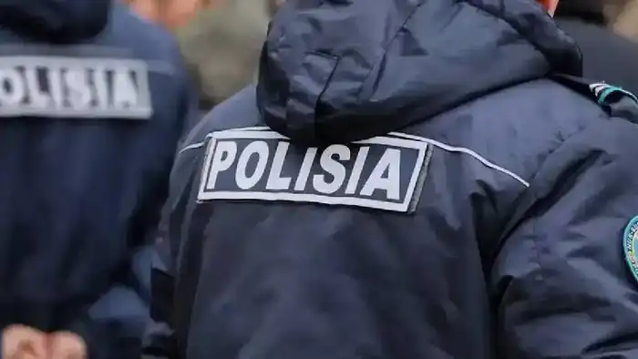 Пиротехническое шоу, концерты и строгий контроль: в новогоднюю ночь в Астане дежурили более 3 тысяч полицейских (2)