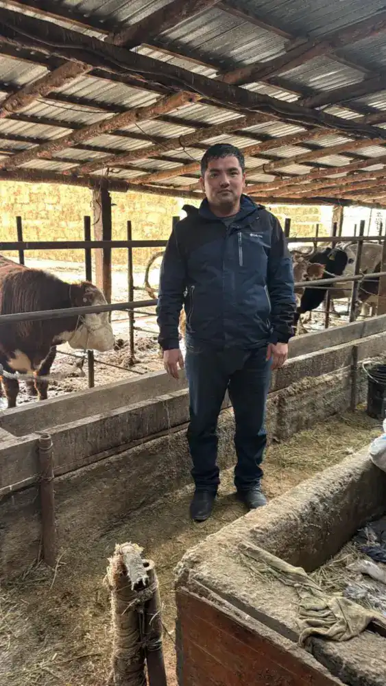 Развитие скотоводства в Отырарском районе: вклад Мухамеддауита Косаева в продовольственную безопасность региона Астане