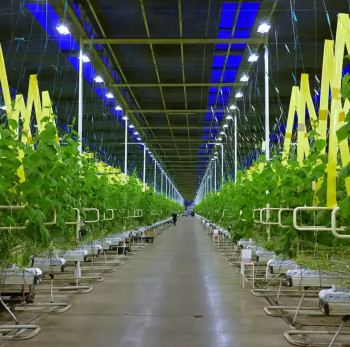 Аким области Асаин Байханов с рабочей поездкой посетил Экибастуз (10)