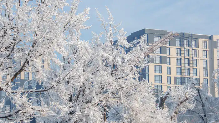 Погодные условия в Астане и Алматы: как снежный циклон и туман влияют на жизнь горожан 20-22 января Астане