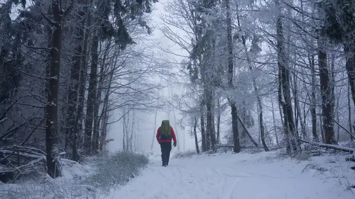 Города в облаках: Астана и Алматы окутаны туманом — прогноз погоды на 28-30 января Астане