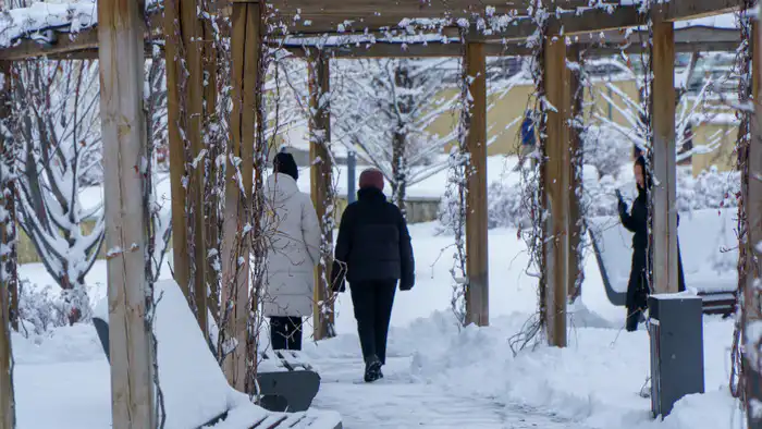 Астана в метель, Алматы в снежном вихре: прогноз погоды Астане