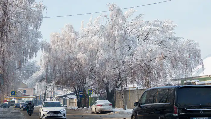 Морозы и снегопады в Астане и Алматы: последствия для жителей и инфраструктуры в ближайшие дни Астане