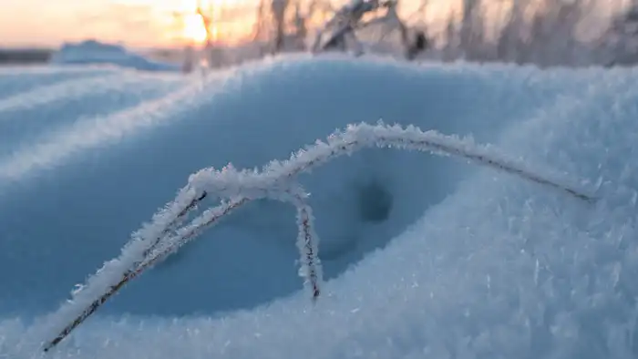Снежный вихрь: Астана под шапкой снега, Алматы в снежном плену — прогноз погоды на 22-24 января Астане