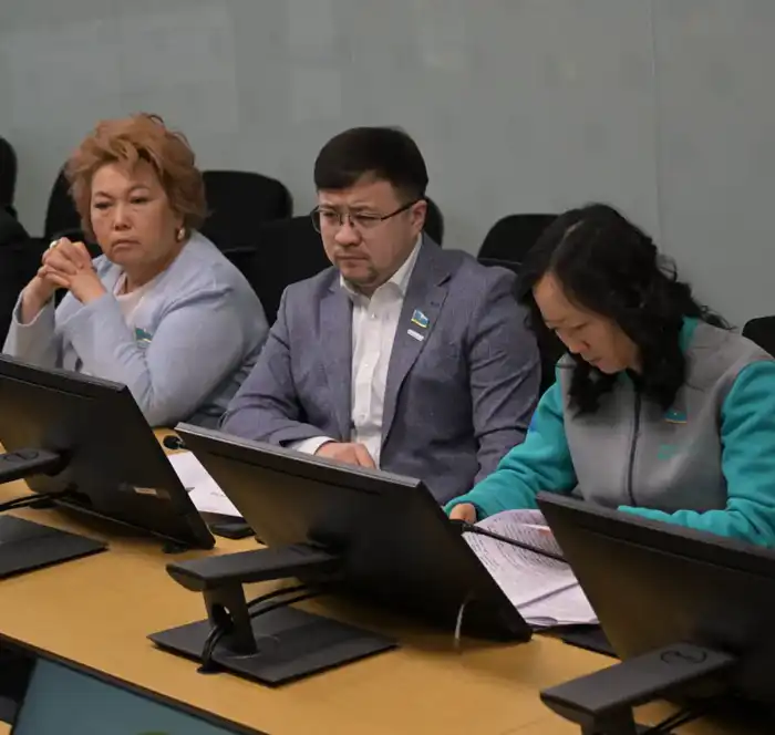 С нового года - к новым задачам и проектам (9)