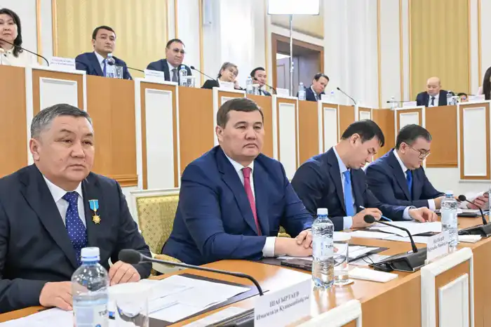 Основа справедливого Казахстана - «Закон и порядок» (4)