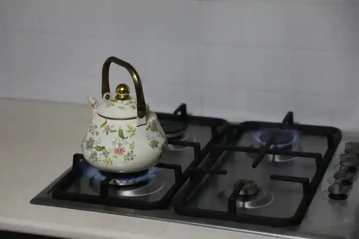 Жители Жантаксая благодарны за подключение к газу, что улучшит их быт и экологию Астане