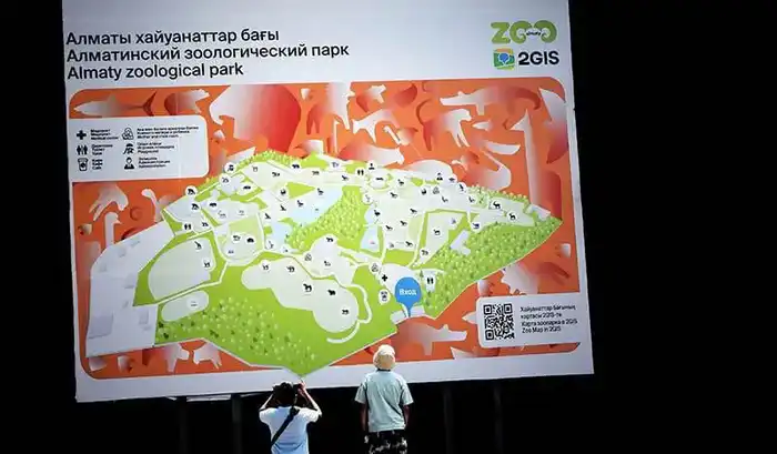 Подарите своей ёлке новую жизнь: Алматинский зоологический парк принимает использованные новогодние деревья Астане