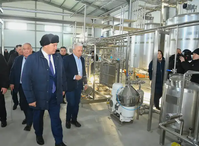 Глава региона проверил строительство завода по производству сухого порошка из верблюжьего молока (4)