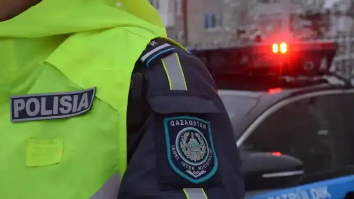 Ужесточение мер полиции в Астане: последствия для борьбы с семейно-бытовым насилием Астане