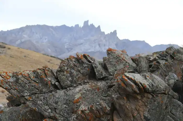 В ТУРКЕСТАНСКОЙ ОБЛАСТИ ВЕДЕТСЯ РАБОТА ПО СОХРАНЕНИЮ КУЛЬТУРНОГО НАСЛЕДИЯ И ЕГО ВКЛЮЧЕНИЮ В СПИСОК ЮНЕСКО Астане