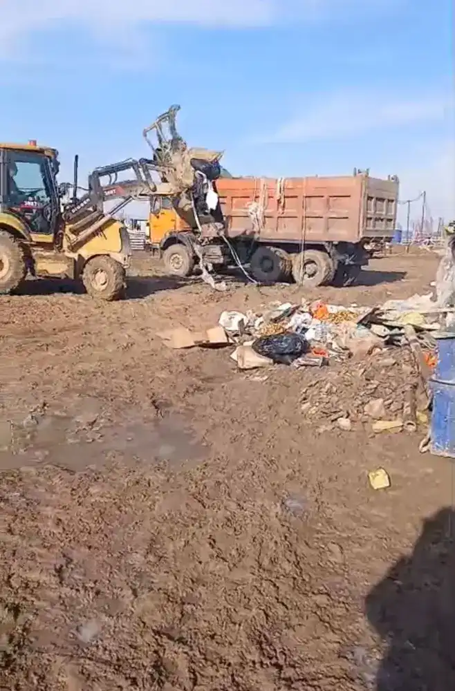 Нарушение экологических норм в Алатау: последствия для бизнеса и усиление контроля Астане