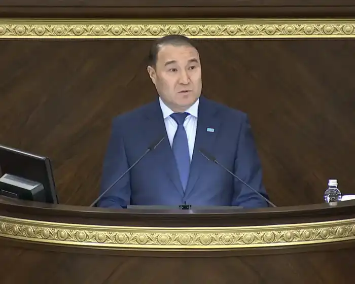 В Мажилисе рассмотрен законопроект о ратификации Соглашения по созданию механизма гражданской защиты Организации тюркских государств Астане