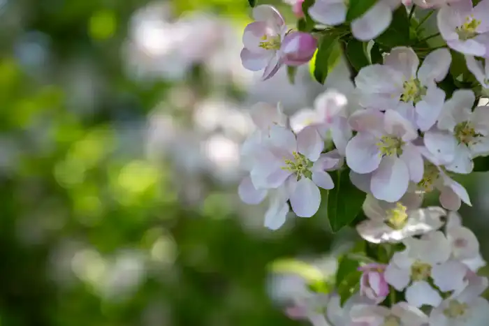 Экологический туризм в Жетісу: число посетителей национальных парков за год достигло 40 тыс. человек Астане