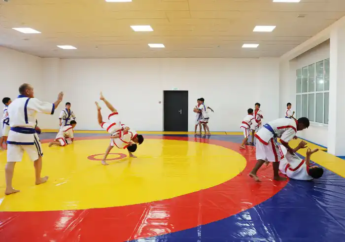 13 спортивных объектов планируют ввести в эксплуатацию в Жамбылской области в 2026 году (3)