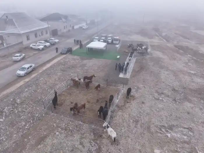 Чипирование животных: ветеринария на новом уровне в Туркестане! Астане