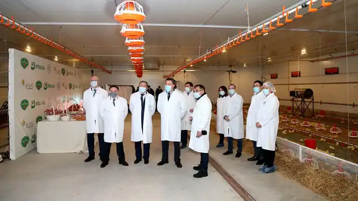 Макинская птицефабрика: надежность, высокое качество и развитие производства Астане