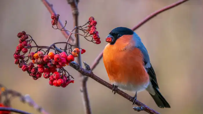 Синоптики Казгидромета представили прогноз погоды на 6, 7 и 8 января, ожидая потепление в некоторых регионах Казахстана, в то время как в других возможны морозы. Астане