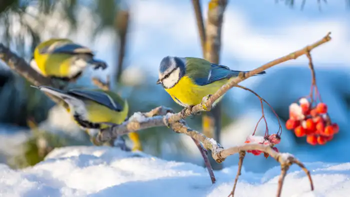 Астана прощается с морозами: Алматы ожидает потепление в начале января Астане