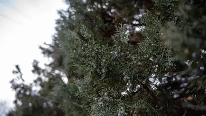 Погода в Казахстане: Зимний вальс облаков и морозных ветров в Астане, Алматы и Шымкенте с 3 по 5 января Астане