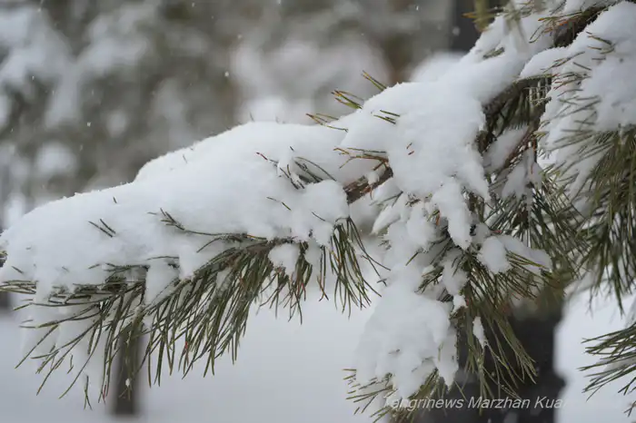 погода в астане январь