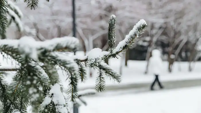 Алматы готовится к резкому похолоданию: синоптики прогнозируют морозы Астане
