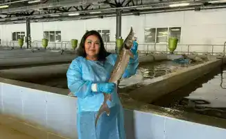 Доктор наук, меняющий будущее рыбного хозяйства Казахстана