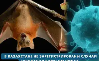 Казахстан: остров спокойствия среди бурь вируса Нипах