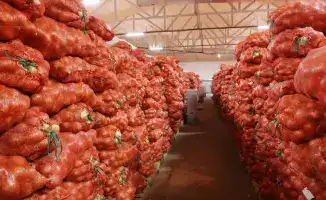 Сельское хозяйство Байзакского района: урожай идей и инвестиционных проектов под крылом Ербола Карашукеева