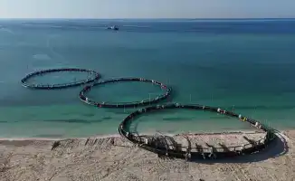 Рост производства рыбной продукции в Казахстане на 10% свидетельствует о стабильном развитии отрасли