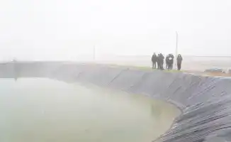 Лесной питомник на 10 гектаров в Туркестанской области