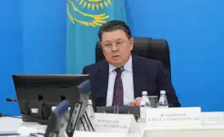 Рис под контролем: как сберегаем воду в Казахстане?