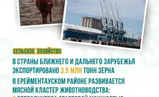 Акмолинская область: Лидер аграрного производства с рекордами на мировом рынке в 2025 году