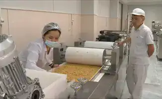 Поддержка 659 бизнес-проектов в Алматы