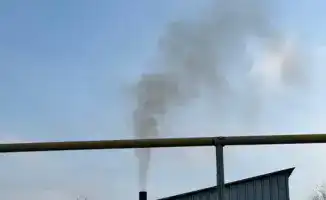 Алатауский район: малый бизнес на пути к экологическому дыханию