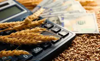 Провал в поле: Агентство по защите конкуренции раскрыло нарушения в субсидировании экспортных перевозок зерна