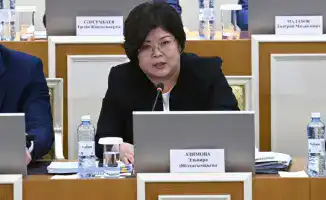 Обсуждение поправок в Основной закон Казахстана: акцент на правозащитные механизмы и функции власти