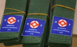 В столичной школе прошла церемония вручения поясов юным каратистам, подчеркивающая важность здорового образа жизни