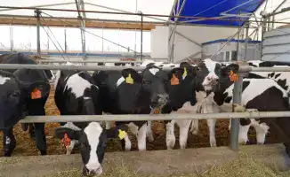 Рост инвестиций в Акмолинской области: новые возможности и вызовы для региона